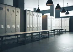 articleimage