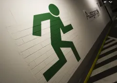 articleimage