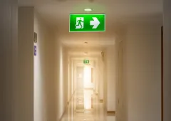articleimage